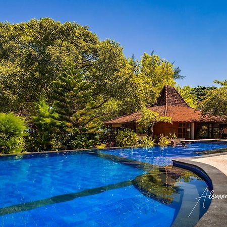 Oceans 5 Dive Resort Gili Air Bagian luar foto