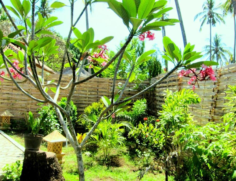 Oceans 5 Dive Resort Gili Air Bagian luar foto