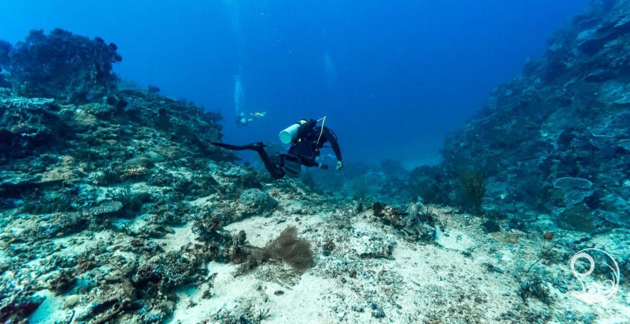 Oceans 5 Dive Resort Gili Air Bagian luar foto