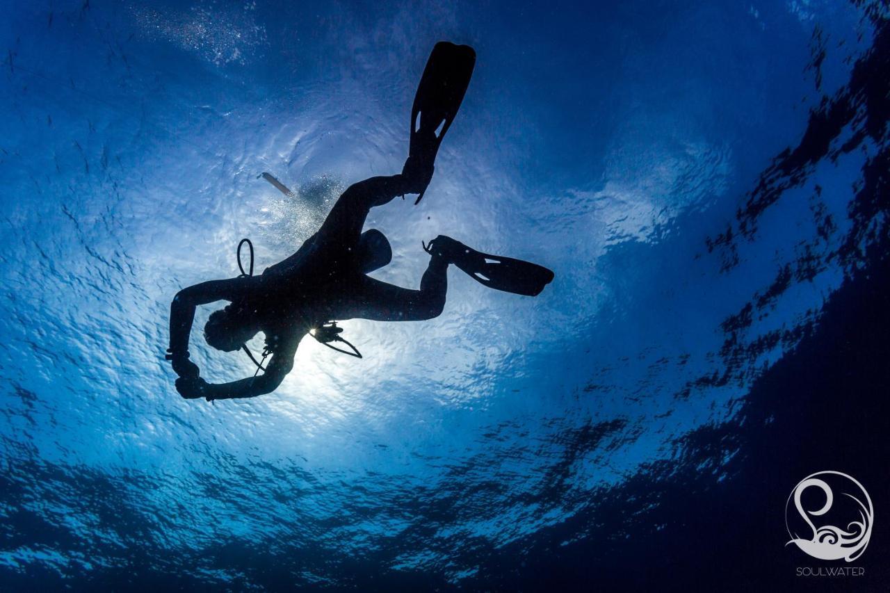 Oceans 5 Dive Resort Gili Air Bagian luar foto