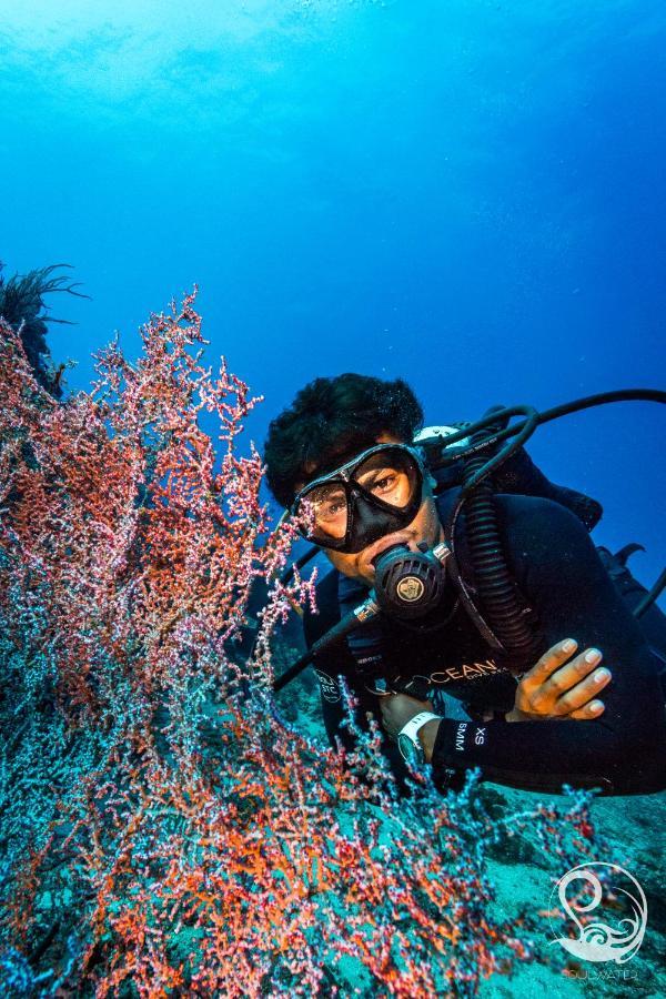 Oceans 5 Dive Resort Gili Air Bagian luar foto