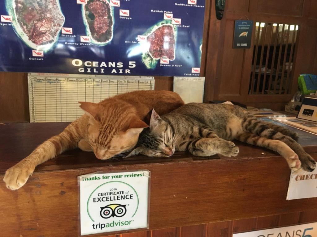 Oceans 5 Dive Resort Gili Air Bagian luar foto